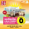 1006-รสหวานและรสดาร์กช็อกโกแลต