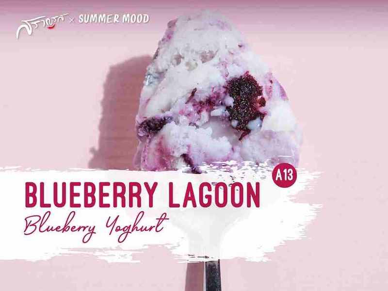 (A13) BLUEBERRY LAGOON BLUEBERRY YOGHURT  (บลูเบอร์รี่ ลากูน บลูเบอร์รี่ โยเกิร์ต)